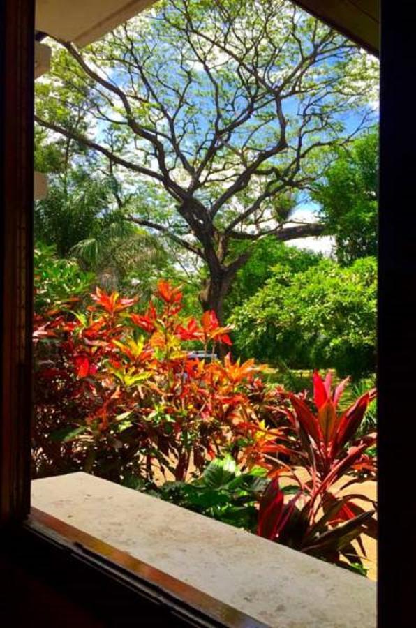 Casa Inti Guesthouse & Lodge Managua Exterior foto